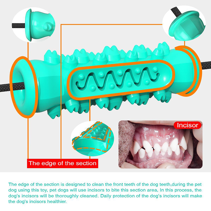 Çift Vakumlu Bardaklı Köpek Çe - Dog Rope Toy Aggressive Chewers incelemesi ve fiyatı