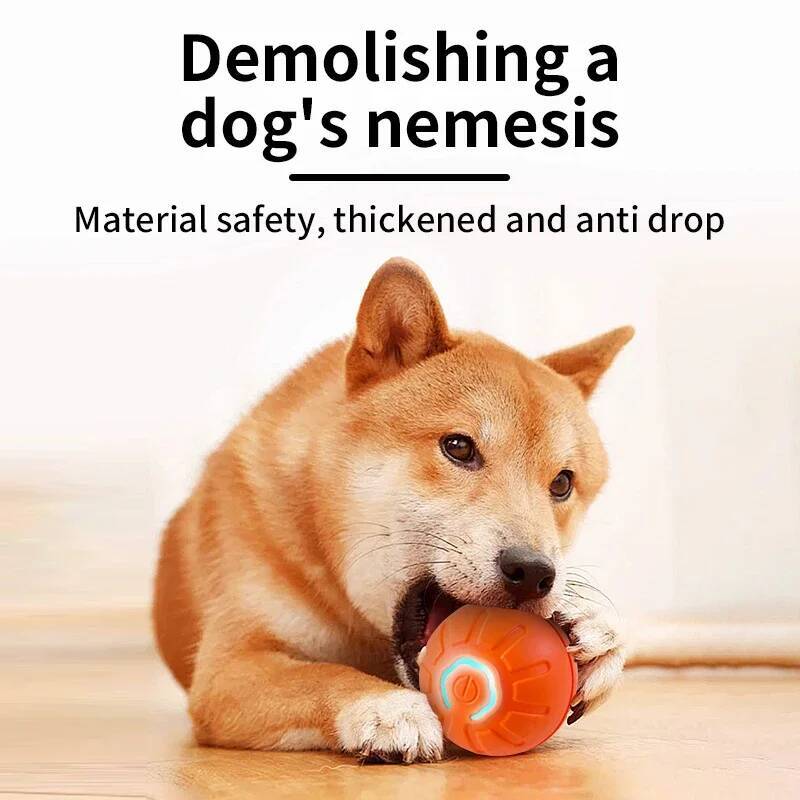 Akıllı Köpek Oyuncak Topu Elek - Automatic Moving Dog Ball incelemesi ve fiyatı