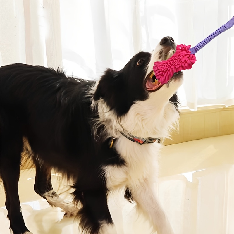 Agresif Çiğneyiciler İçin Daya - Dog Rope Toy Aggressive Chewers incelemesi ve fiyatı
