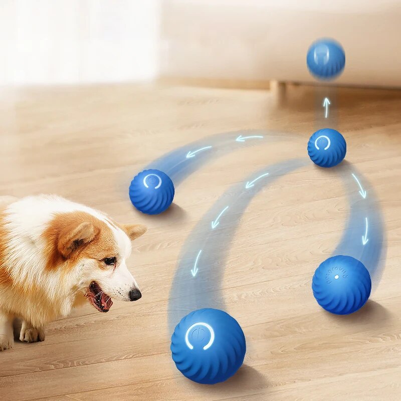 Köpek Oyuncakları Akıllı Yerçe - Suction Cup Dog Tug Toy incelemesi ve fiyatı