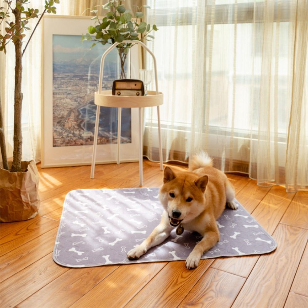Dayanıklı Süper Emici Evcil Ha - Pet Beds incelemesi ve fiyatı