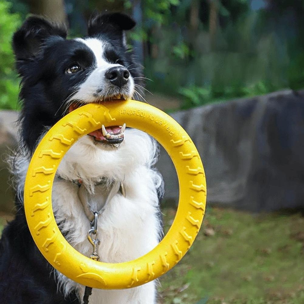 Köpek Oyuncakları: Kırılmaz, Ç - Indestructible Dog Chew Toy incelemesi ve fiyatı