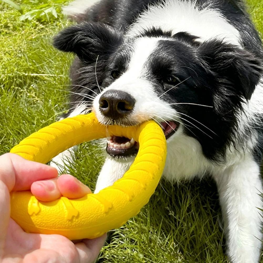 Köpek Oyuncakları: Kırılmaz, Ç - Indestructible Dog Chew Toy incelemesi ve fiyatı