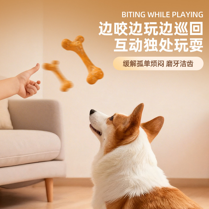 Köpek OyuncağıTPRD Dayanıklı,  - Teeth Cleaning Dog Chew Bone incelemesi ve fiyatı