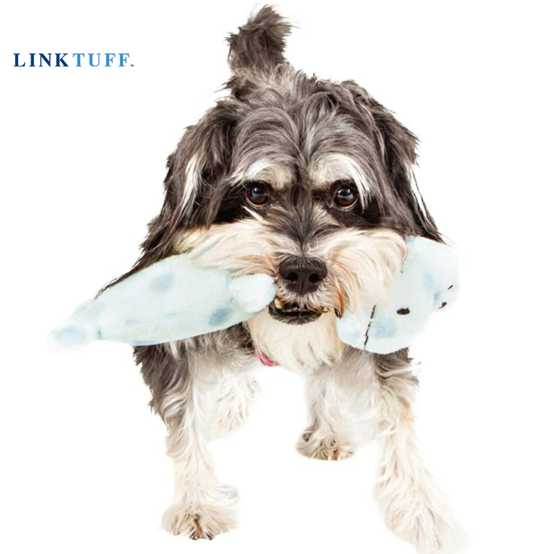 Linktuff Pet köpek gıcırtılı e - Suction Cup Dog Tug Toy incelemesi ve fiyatı