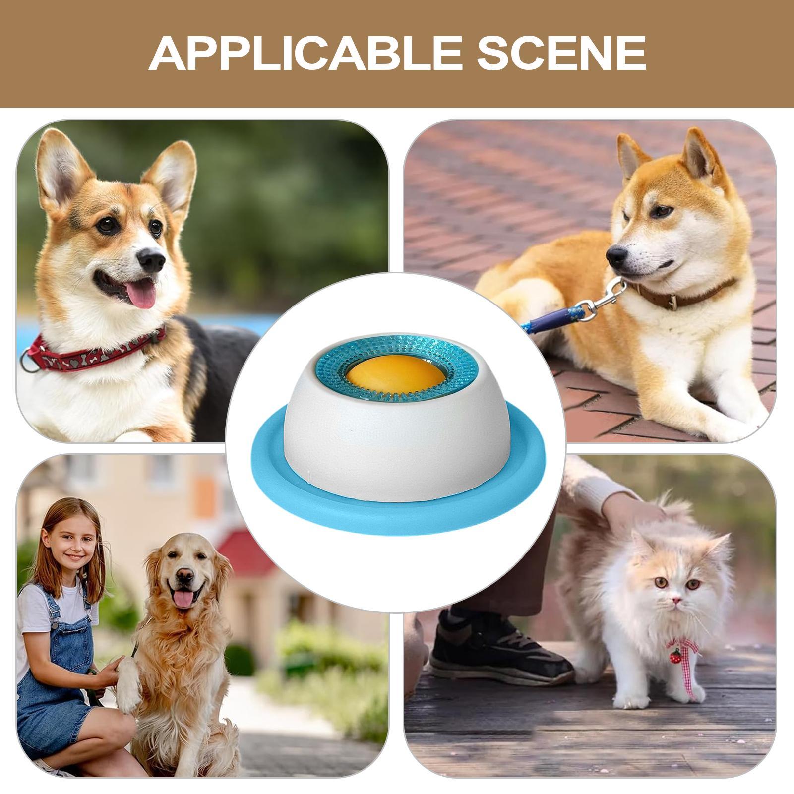 Köpek Ödül Oyuncağı Evcil Hayv - Dog Puzzle Feeder Toy incelemesi ve fiyatı