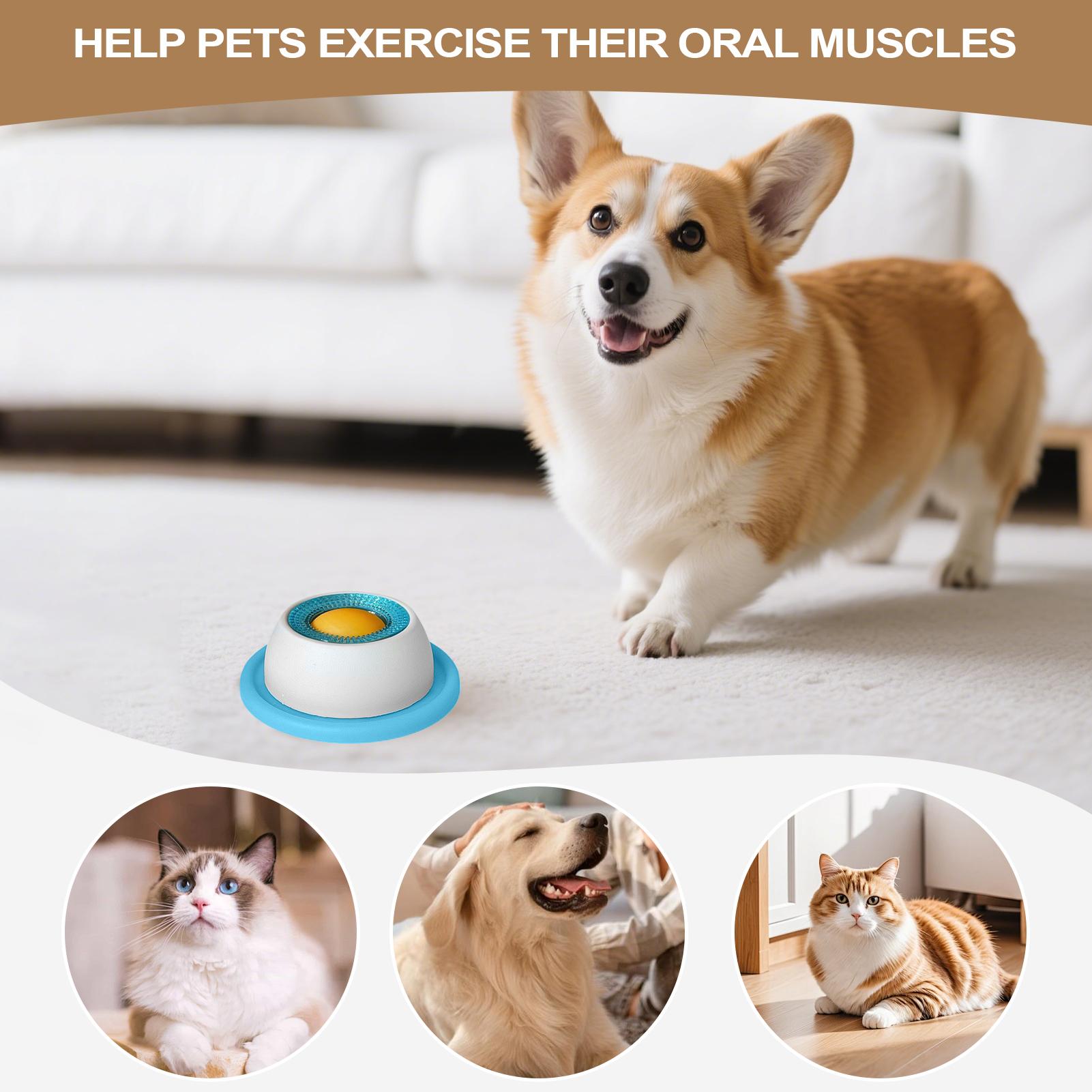 Köpek Ödül Oyuncağı Evcil Hayv - Dog Puzzle Feeder Toy incelemesi ve fiyatı