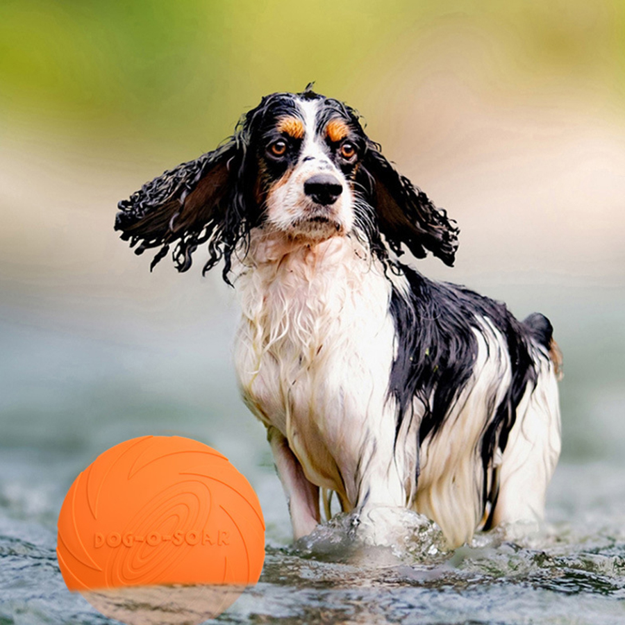 Büyük Köpekler İçin Altın Renk - Flying Disc Dog Training Toy incelemesi ve fiyatı