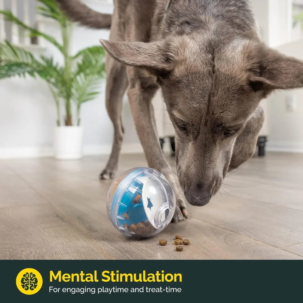 IQ Treat Ball Köpek Ödül Mamas - Indestructible Dog Chew Toy incelemesi ve fiyatı